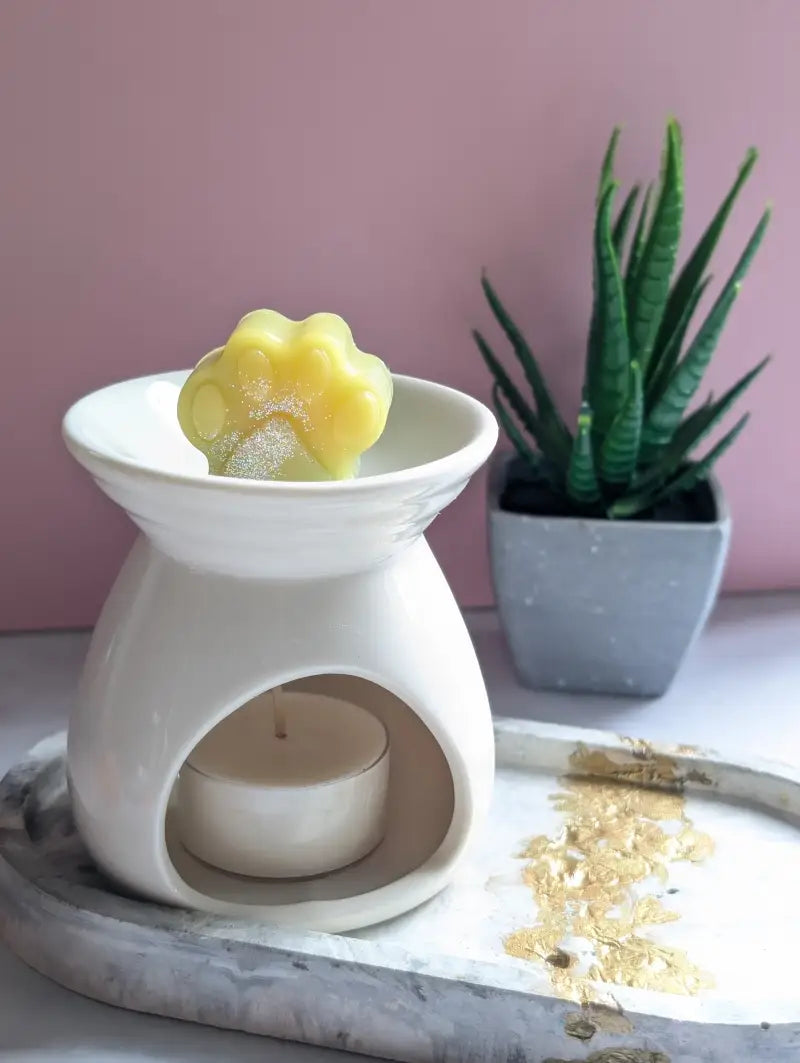 Fondants Parfumés Little Paws - Bambou Teck - Cire fondants