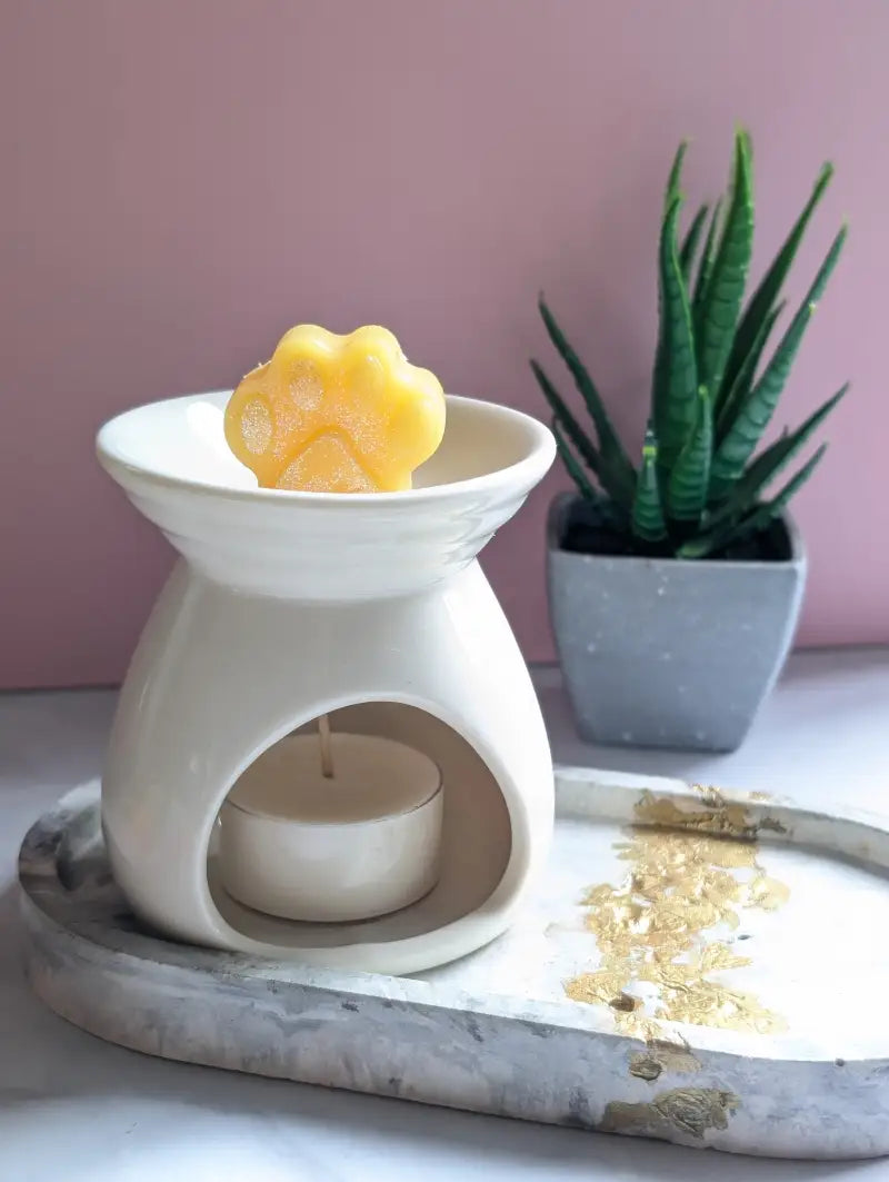 Fondants Parfumés Little Paws - Banane coco - Cire fondants