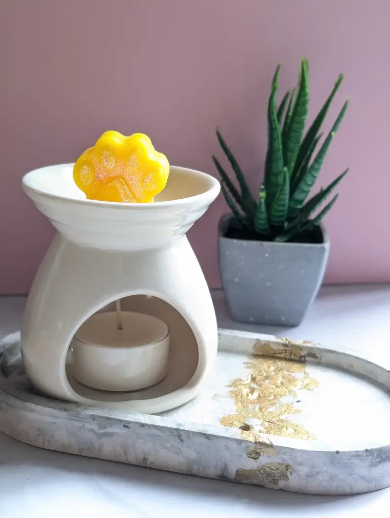 Fondants Parfumés Little Paws - Cire fondants Fondants