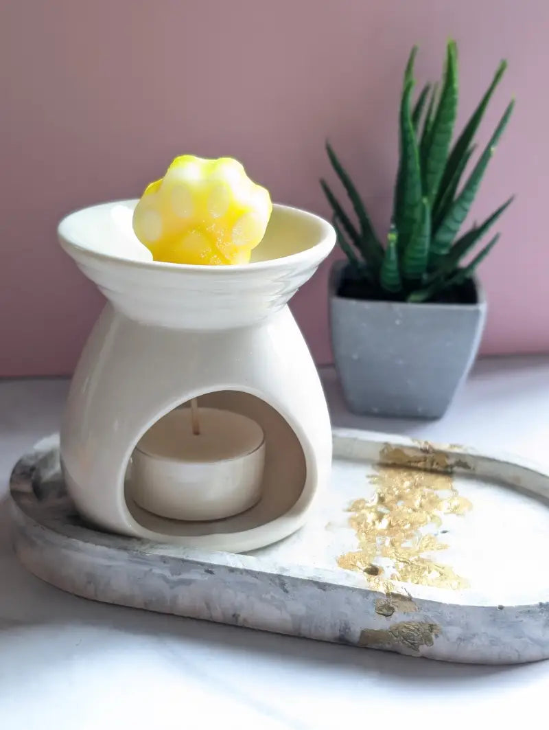 Fondants Parfumés Little Paws - Citron coco vanille - Cire