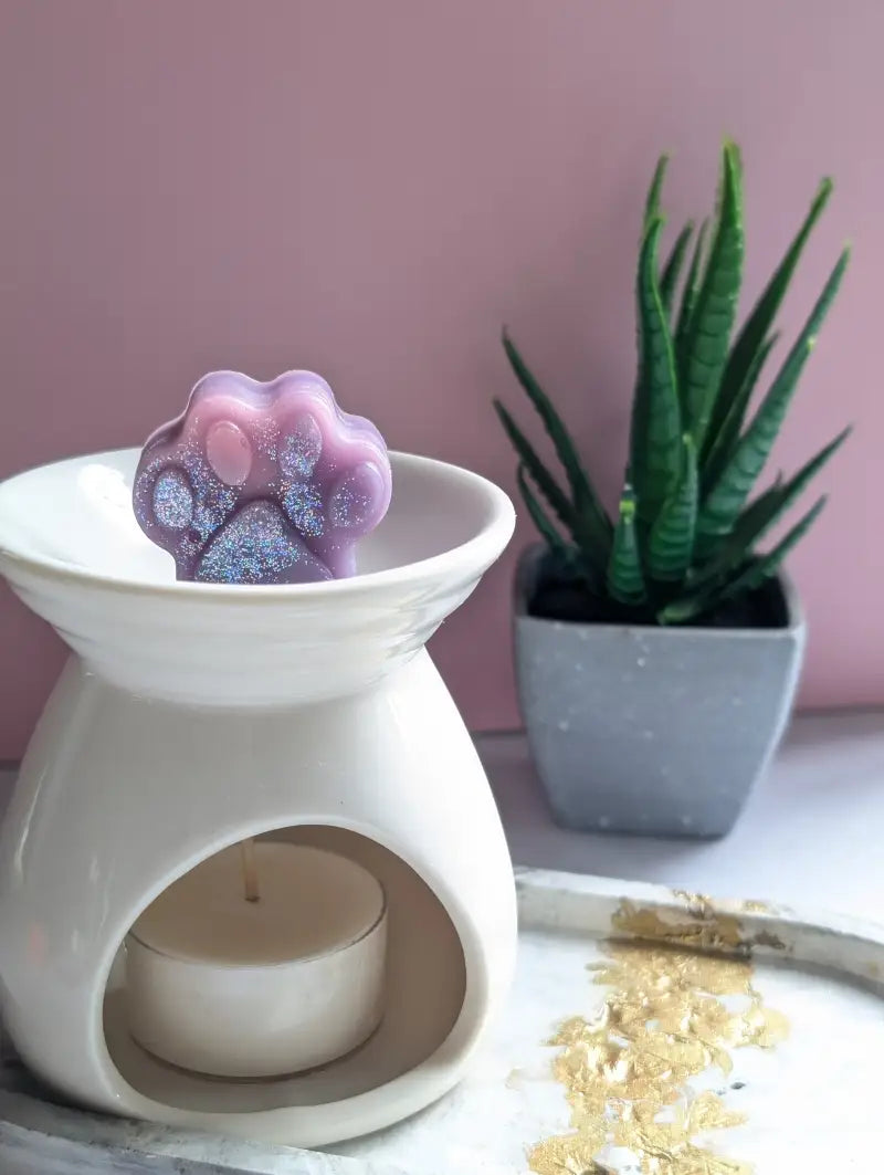 Fondants Parfumés Little Paws - Fruit loops - Cire fondants