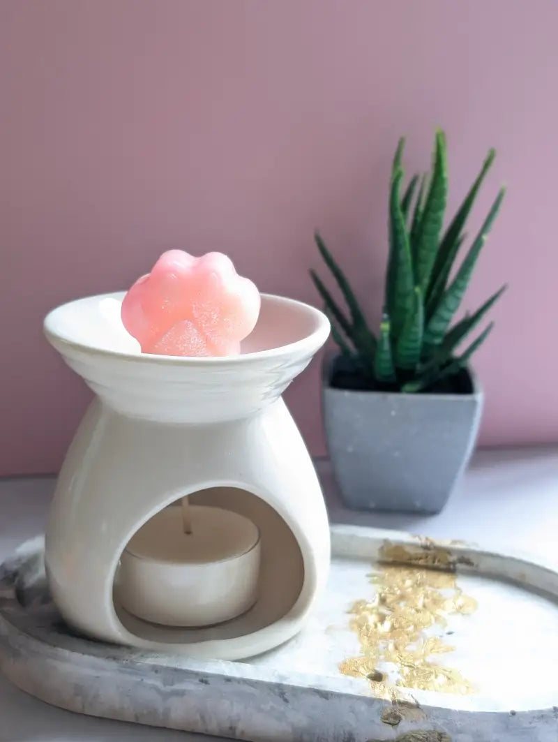 Fondants Parfumés Little Paws - Hibiscus coco - Cire