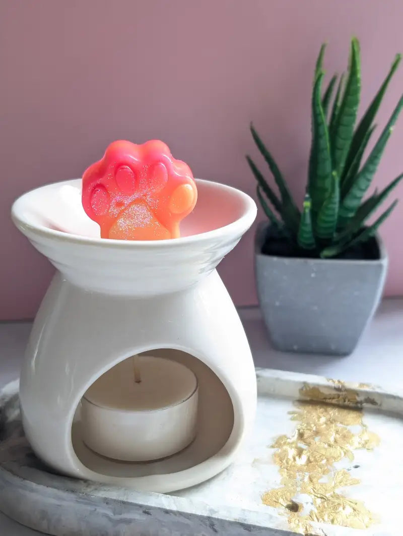 Fondants Parfumés Little Paws - Limonade melon d’eau - Cire