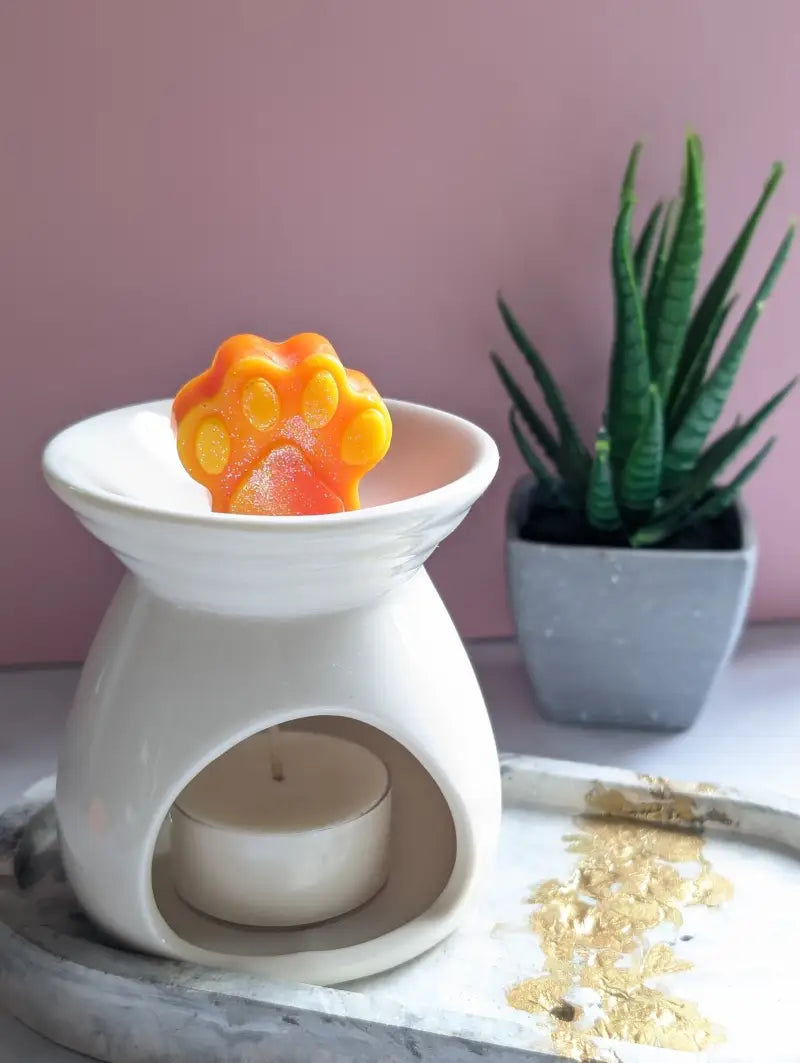 Fondants Parfumés Little Paws - Monkeys farts - Cire