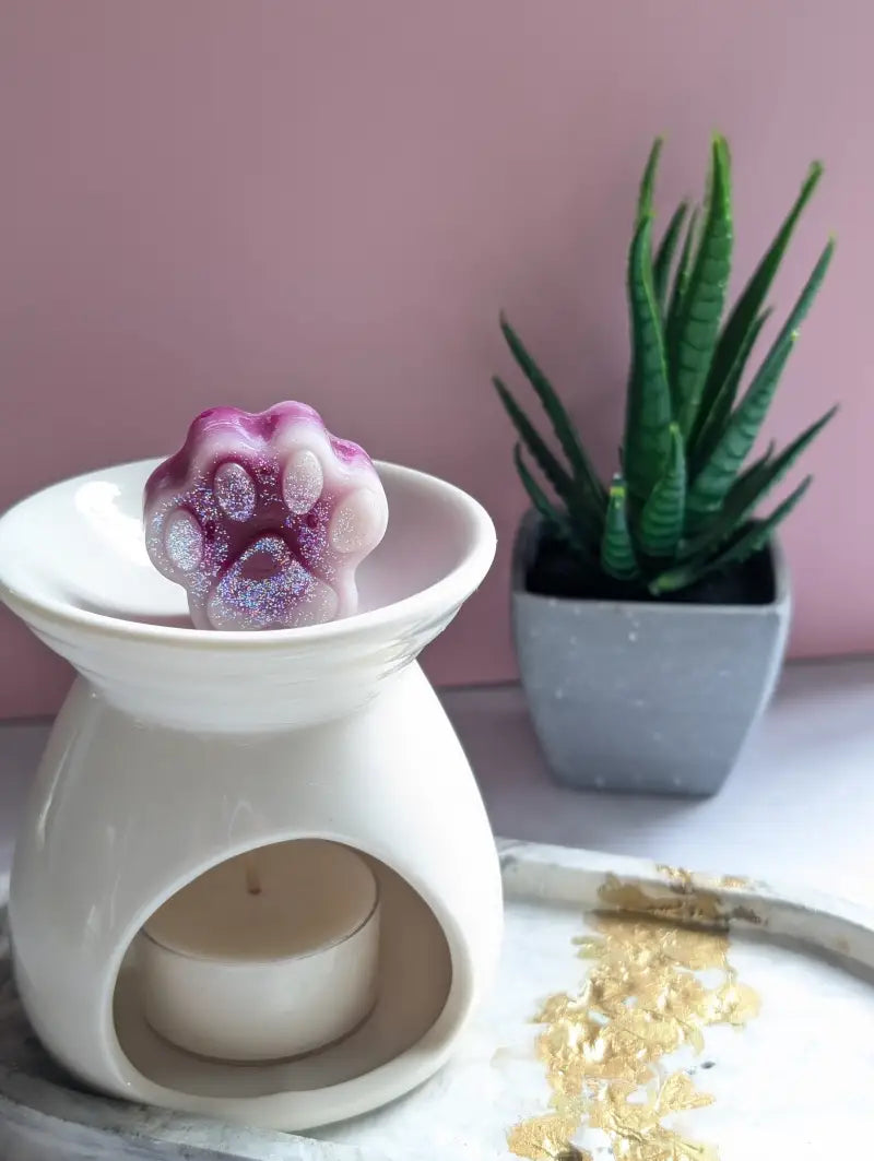 Fondants Parfumés Little Paws - Mûres - Cire fondants