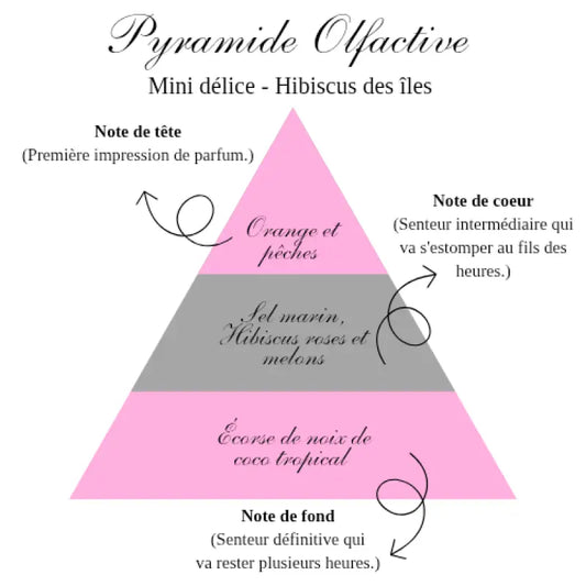 La mini délice - Hibiscus des îles - gourmande Bougies