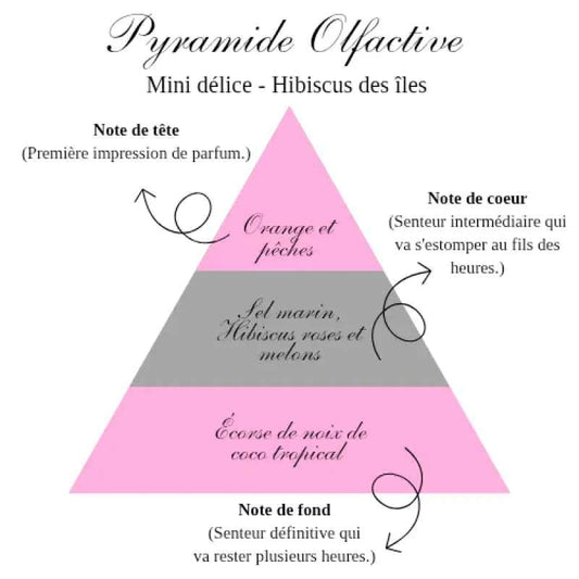 La bougie mini délice - Hibiscus des îles