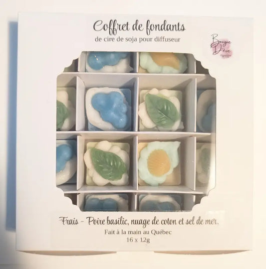 Coffret de fondants pour diffuseur - Cire fondants Fondants