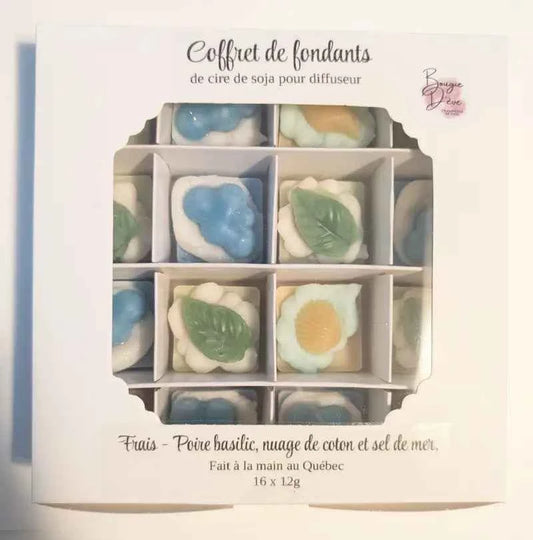 Coffret de fondants pour diffuseur