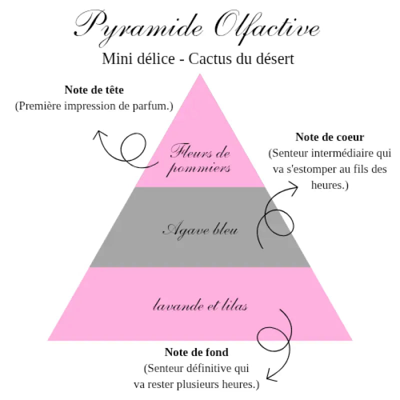 La mini délice - Cactus du désert - gourmande Bougies