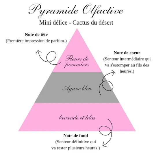 La mini délice - Cactus du désert - gourmande Bougies