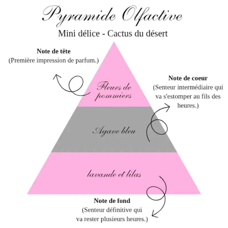 La bougie mini délice - Cactus du désert - Bougie d'Ève