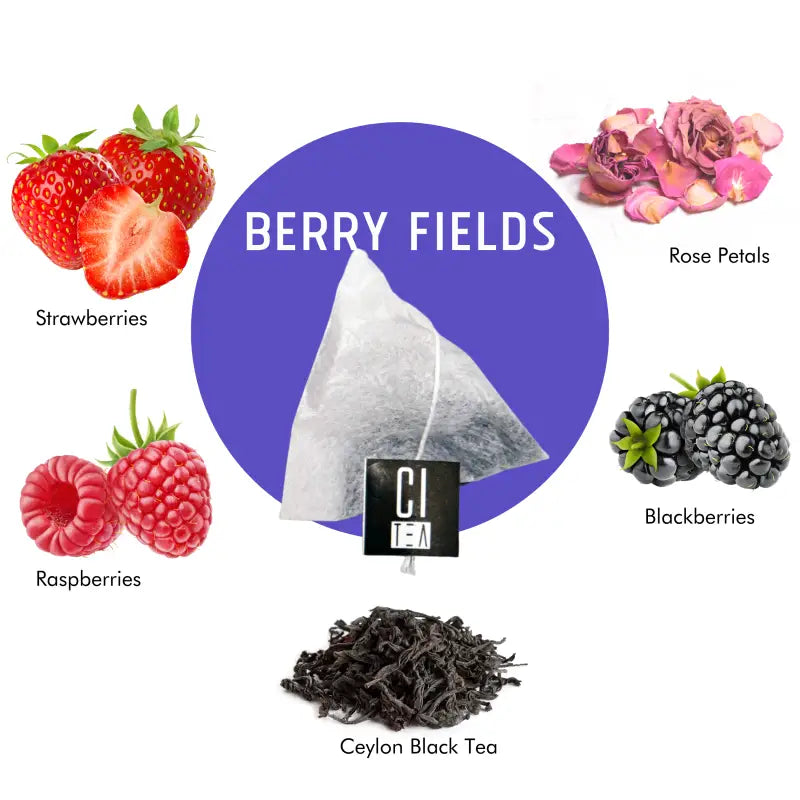 Berry Fields - Sachets de thé aux baies