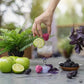 Bombes à cocktail - Mûre, pomme verte et vanille - Bougie d'Ève