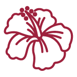 Bombes à cocktail - Pomegranate Hibiscus & Honeyberry