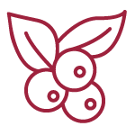 Bombes à cocktail - Pomegranate Hibiscus & Honeyberry