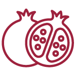 Bombes à cocktail - Pomegranate Hibiscus & Honeyberry