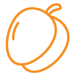 Bombes à cocktail - Orange sanguine abricot et fleur