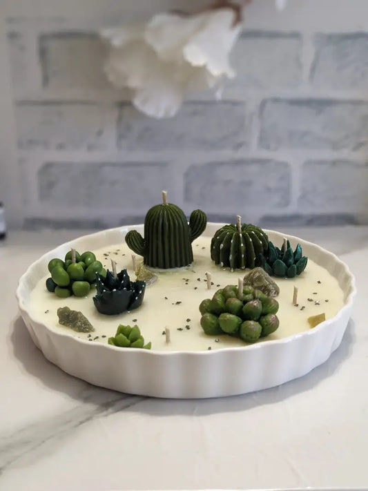 une assiette blanche surmontée d’un petit cactus et d’une cacturine