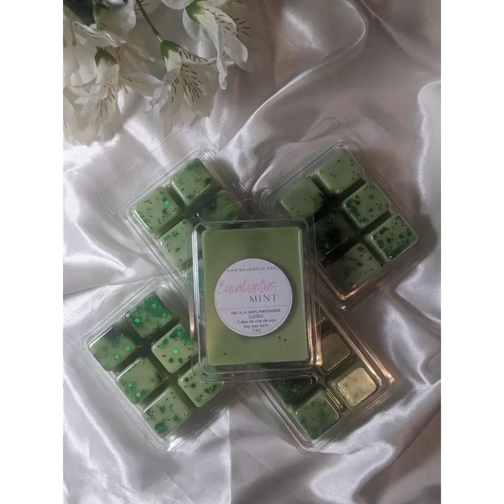 Cubes de cire de soja pour diffuseurs - Eucalyptus mint