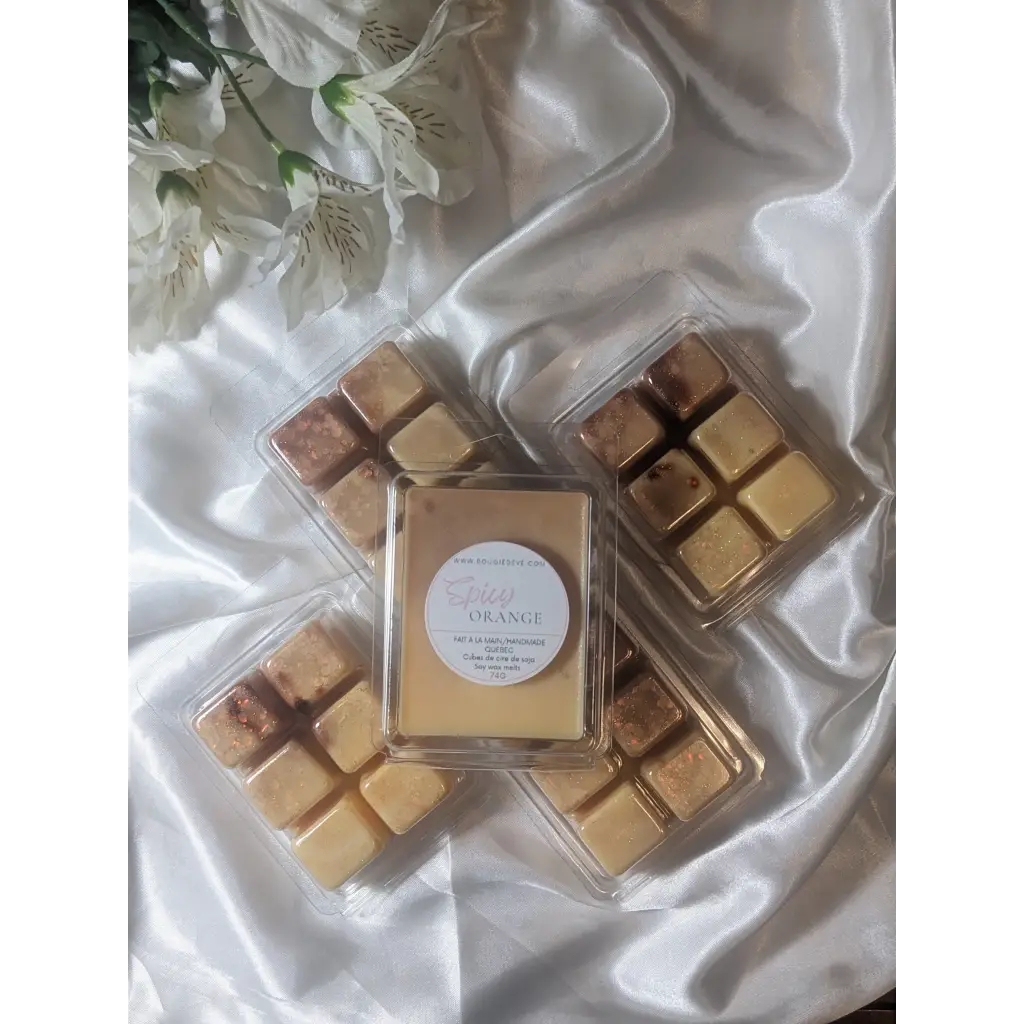 Cubes de cire de soya pour diffuseur - Thé vert & Concombre – ZOËY -  Bougies artisanales de soya
