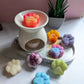 Fondants Parfumés Little Paws - Bougie d'Ève