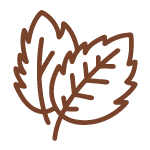 Bombes de chocolat chaud - menthe