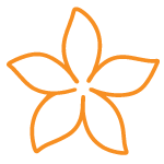 Bombes à cocktail - Orange sanguine abricot et fleur