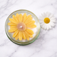 La bougie gourmande mini délice - Marguerite