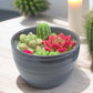Bougie fruits de cactus