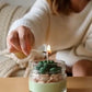 La bougie gourmande mini délice - Cactus du désert