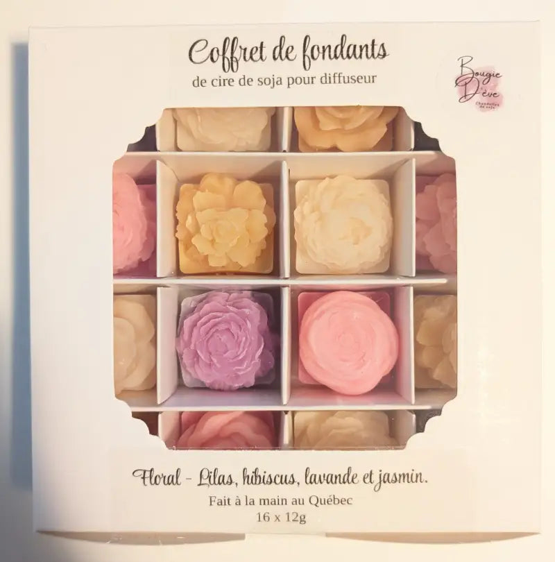Coffret de fondants pour diffuseur - Cire fondants Fondants