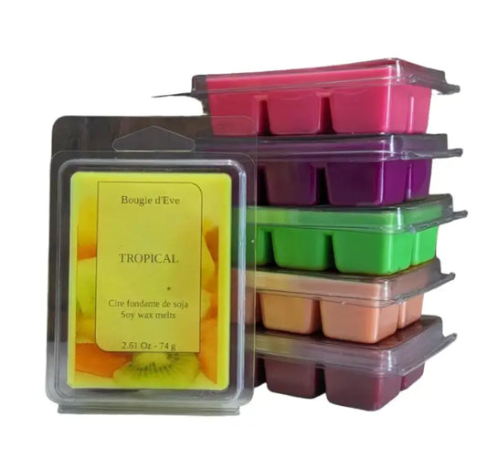 Ensemble de 6 cubes fruités pour diffuseur ** Édition limitée**