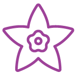 Bombes à cocktail - Mûre pomme verte et vanille